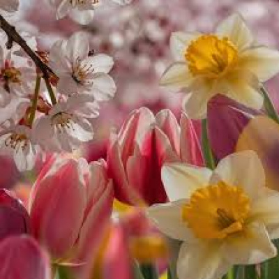 Изменение в графике работы апрель-май 2026