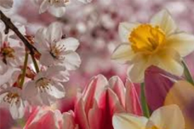 Изменение в графике работы апрель-май 2026